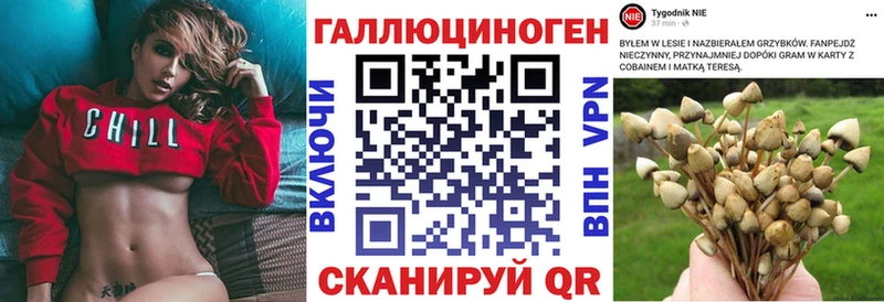 Галлюциногенные грибы Cubensis сколько стоит Пугачёв